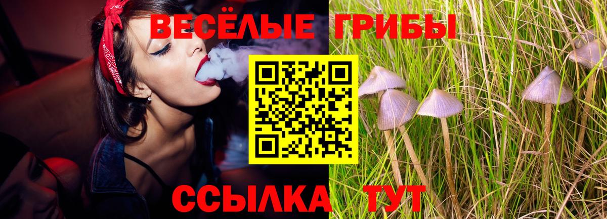 Псилоцибиновые грибы Cubensis  Вход с VPN  Балтийск 