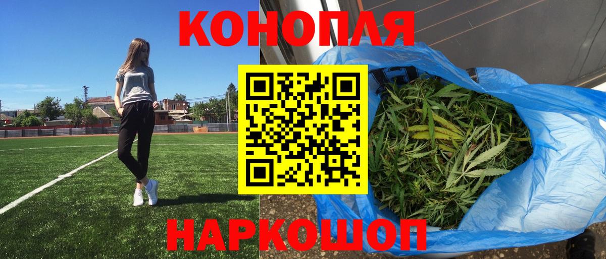 Конопля Ganja Балтийск